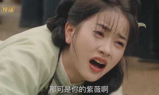 琼瑶儿媳被质疑消费婆婆！短剧《还珠》犯低级错误，剧方连夜修改