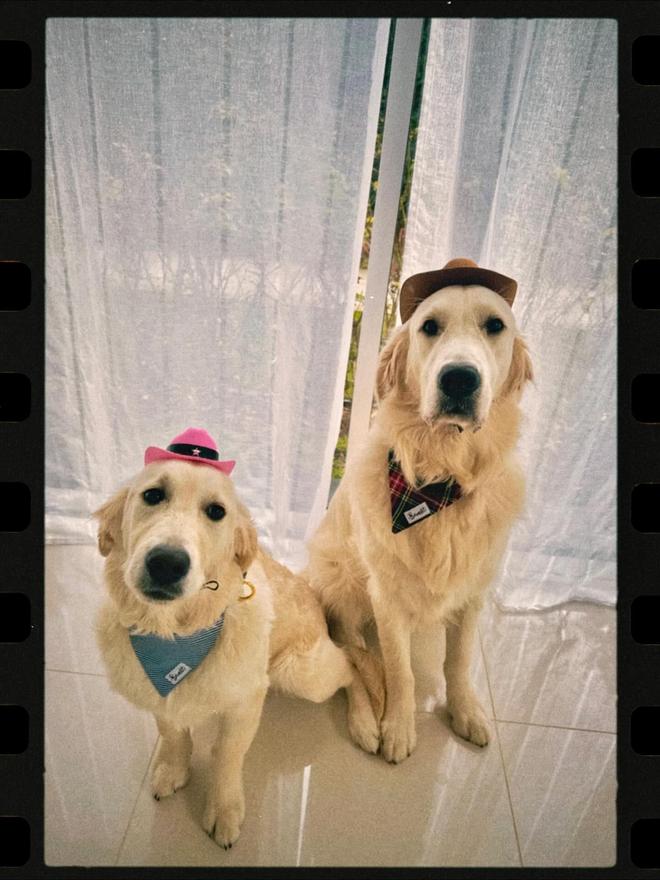 一键开启养眼时刻，若昂-内维斯女友晒近期生活美照