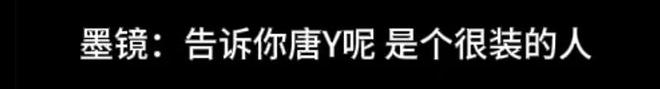 王家卫评论区沦陷！跟秦雯调情还曾让女配音员舔手，滤镜碎了一地