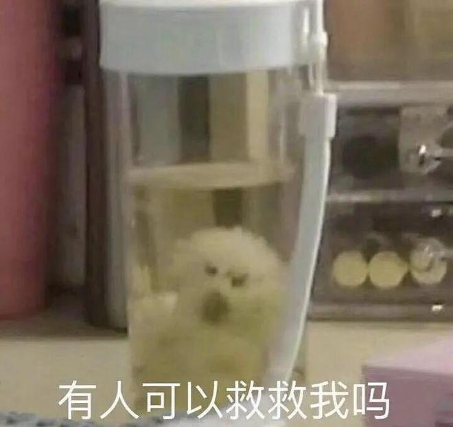 E句话| 她出来否认丈夫出轨了？