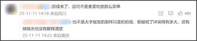 古二曝秦雯多次炫耀袭警经历，其丈夫还骂警察，王家卫以此为灵感