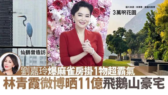 当豪门成为流量：内娱终于走向了港娱