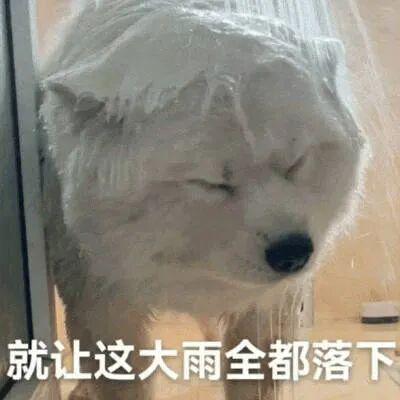 E句话| 她竟然为出轨道歉了？