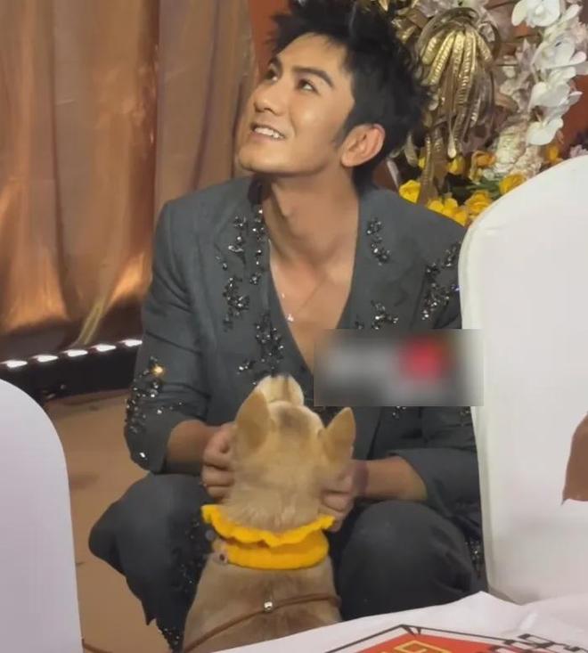 视界大会后台社交名利场！欧豪起身主动接杨幂，剧组之间互相抱团