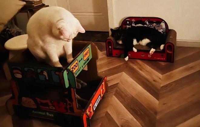 世界上还有很多吴细妹｜《命悬一生》编剧陆春吾专访