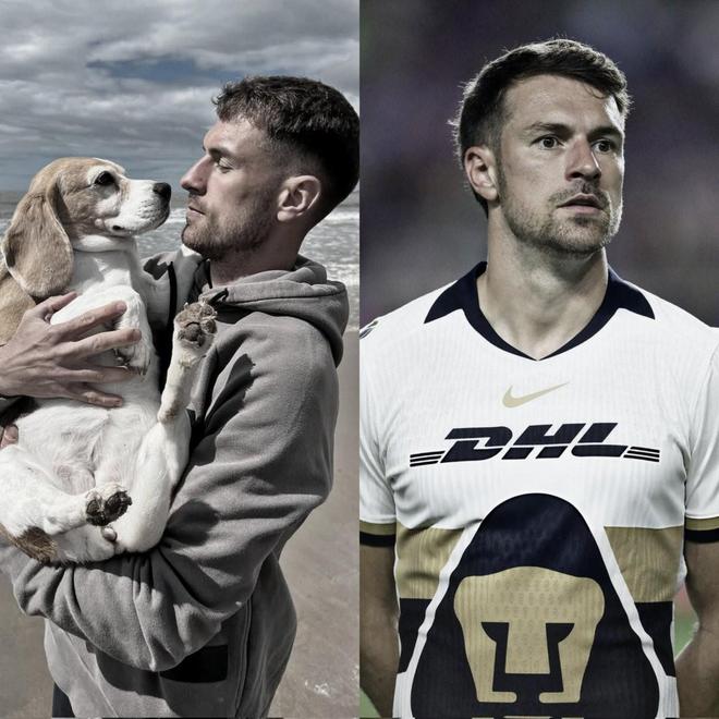 阿斯：在爱犬走失后，拉姆塞与美洲狮解约并离开墨西哥